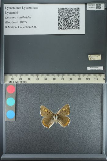 Media type: image;   Entomology 183813